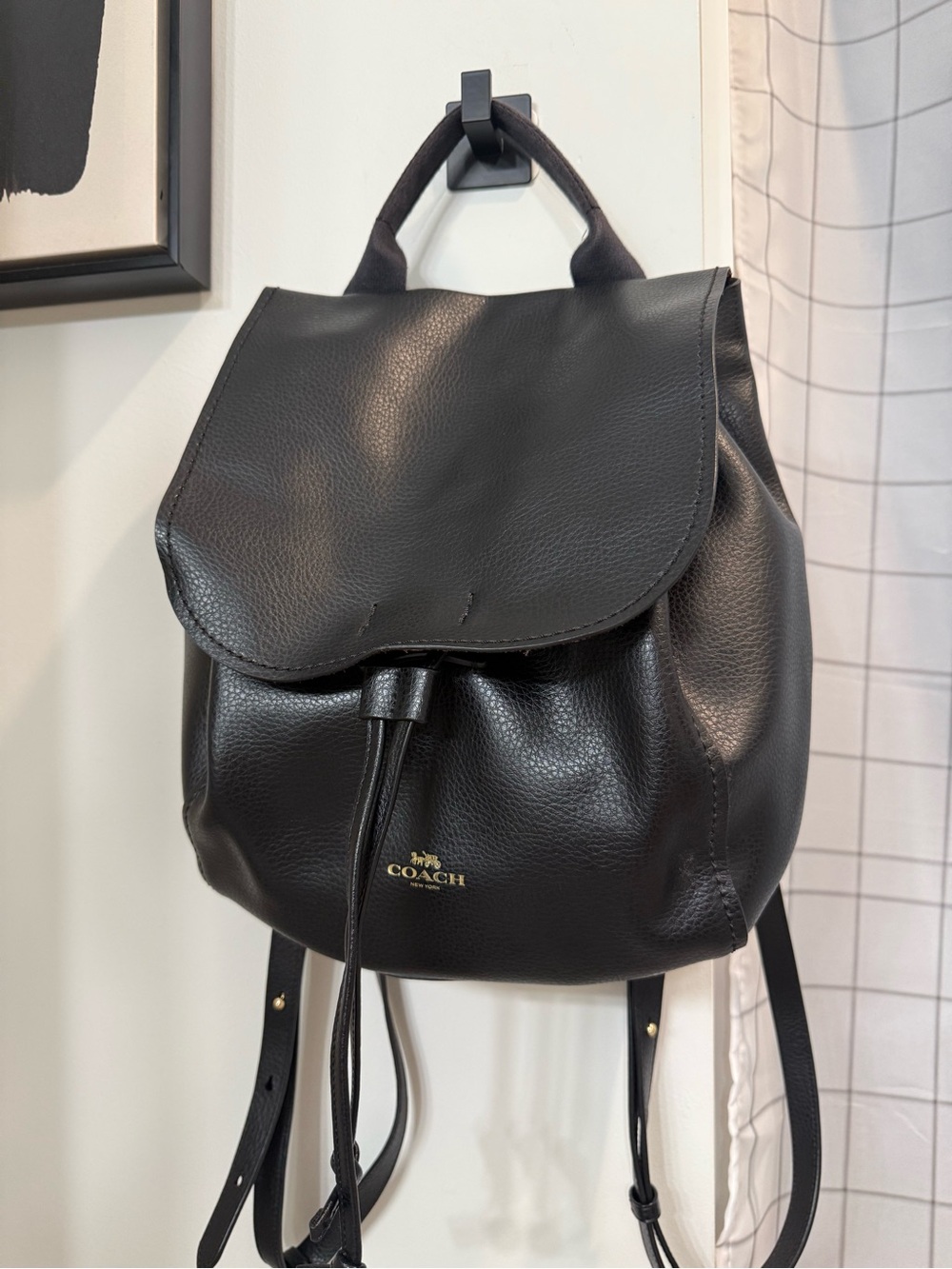 Coach (F59819) Derby Leather Backpack- Black
